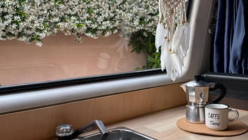 Sagittarius  β The Turbo-Slow Sagittarius