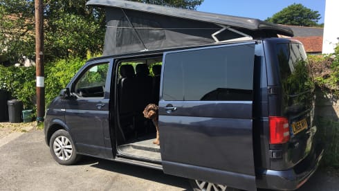 Darcey VW T5 North Devon 