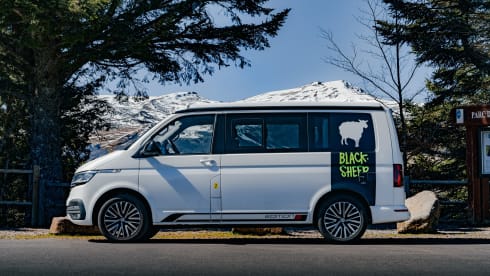Baroudeur California – Volkswagen California T6.1 (Genève)