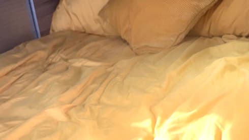 Bumblebee – 4 berth Ford campervan from 2019