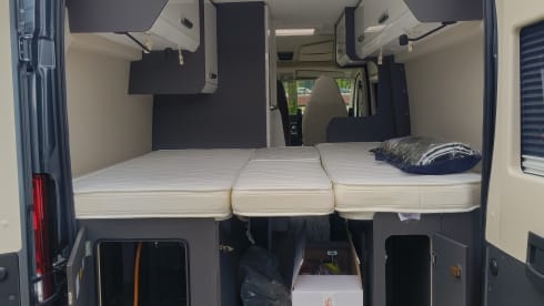 2-person McLouis bus from 2026