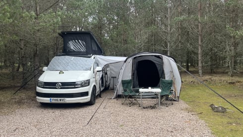 Hector – 2 berth Volkswagen T6 LWB 2016 ( awning sleeps additional 2 persons ) 