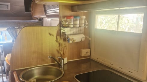 Sassolino – Viaggia in libertà