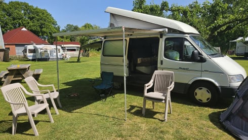 Nugget (chicken) – Festival camper, 4 persoons nugget!