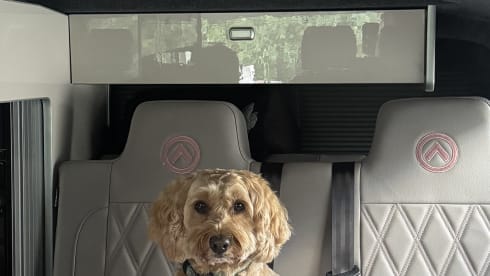 Bonnie💓 – 4 berth Volkswagen Campervan