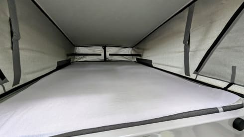 Willy – 4p Citroën Clever campervan uit 2024