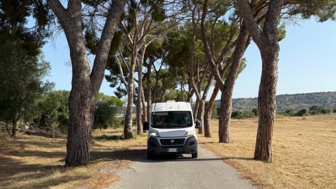 PRINCIPE AZZURRO  – Splendido Van