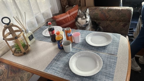 Jeranca – Cozy camper for 4 persons with reversing camera.