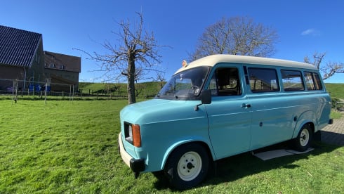Domestic Dean – Camper Ford 2p del 1979