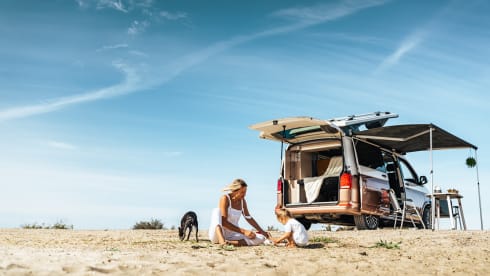 VW T6 Atlantic - Malaga