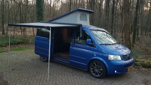 t5 buscamper – Beautiful, cozy T5 bus camper with original Reimo camper furnishings. 