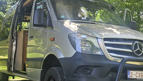 Free Spirit – 3p Mercedes-Benz bus uit 2016