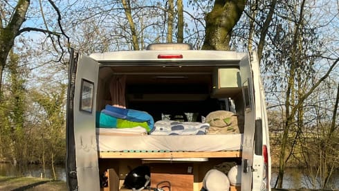 Citroen camper 