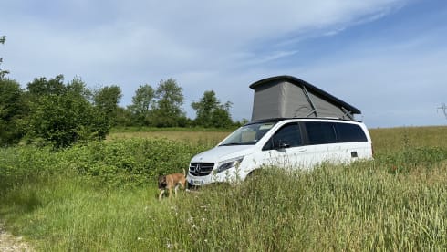 MP  – Mercedes, MarcoPolo, 4 × 4