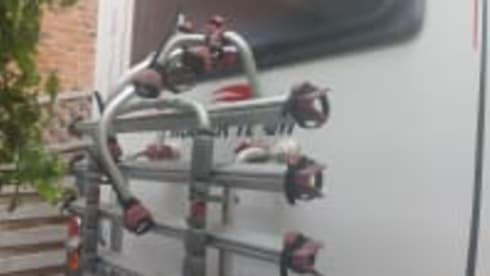 Rolly – 6 berth Roller Team alcove from 2015