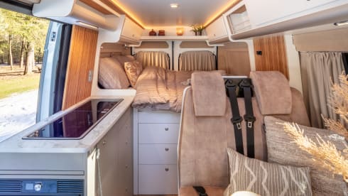 Hooglander – Peugeot bus camper - Bronckhorst Campers