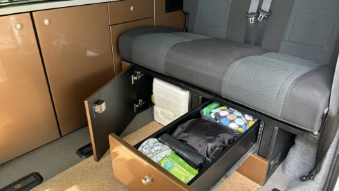 Goldie – Explore with Goldie - Up to 6 Berth VW T6 Campervan