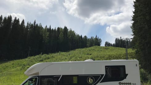 benimar cocoon 463 2021