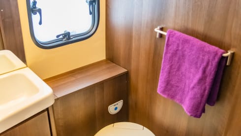 Oxfordette – 4 Berth Roller Team 