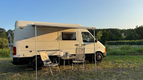 Vino – Vino de Van 3p Volkswagen campervan