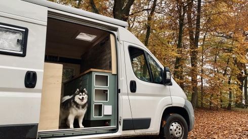 Monti – On an adventure with our converted camper bus!