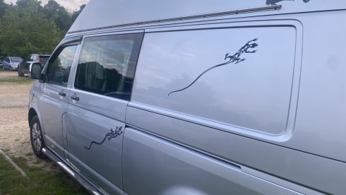 Lizzie  – 4 berth Volkswagen campervan from 2008
