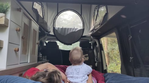 Summer yellow – 4 person campervan with cozy new Woodpecker installation