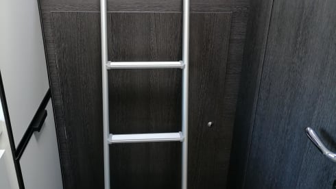 AUTOMATIC - Roller Team Kronos 291TL Ford