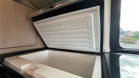 Molly – 4 berth Mercedes-Benz Marco Polo campervan from 2019