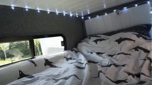 Brilliant family campervan - off-grid and campsite friendly 