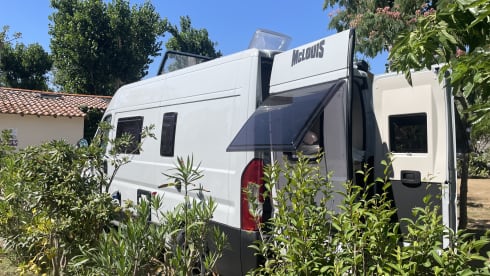 Camping-car 2 personnes (2024) McLouis Menfys Discovery Van 1