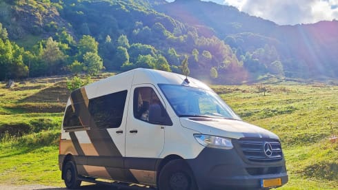 Freddie – Freddie der Abenteuerbus!!