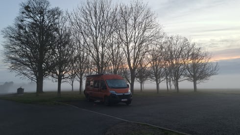 Oranje Puzzel – 2p Pössl bus from 2019