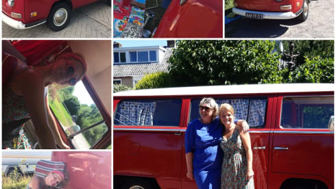 Rode Roos – Unique experience with Red Rose!