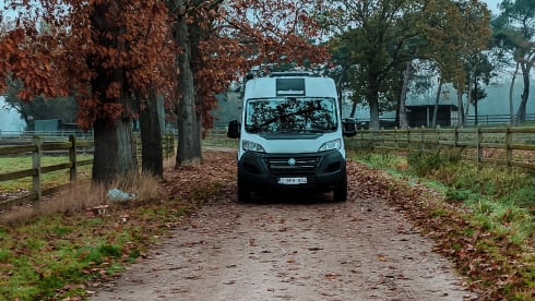 Hectorhetbusje – 2p Chausson Bus camper from 2021