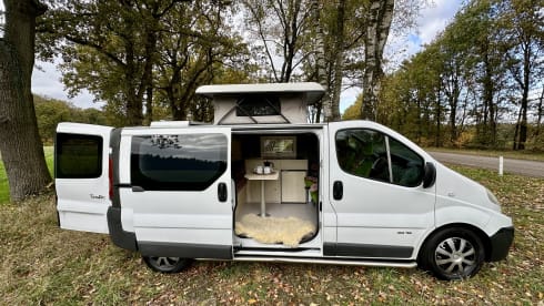 Toscane – Minibus Renault 2 places de 2013