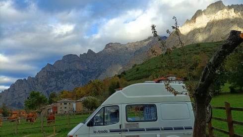 Bertha β 3p Ford bus from 1992