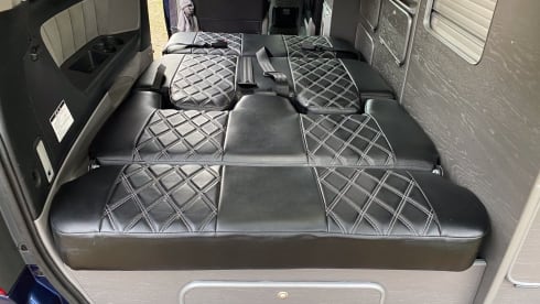 Cyanocitta – Toyota Alphard Campervan, 4WD, 4 seats, 4 berth* with heating,  automatic. 