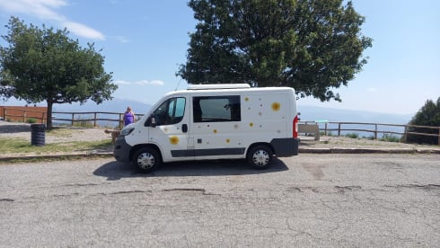 La Route Nouvelle  – Minibus Peugeot 2 places de 2016