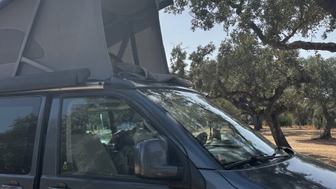 California  – 4p Volkswagen Bus camper, our dream camper