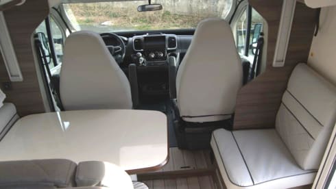 MC4 873 – McLouis Yearling 83