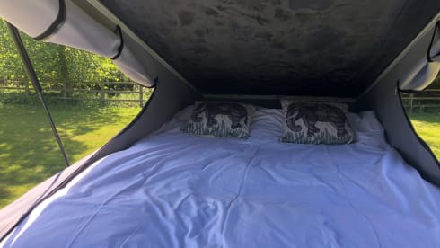 Shamus – VW T6 High spec camper - Automatic/DSG