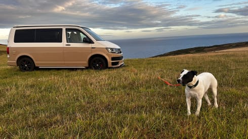 🤎 NOVA 🤎 – 4 berth Volkswagen campervan from 2019