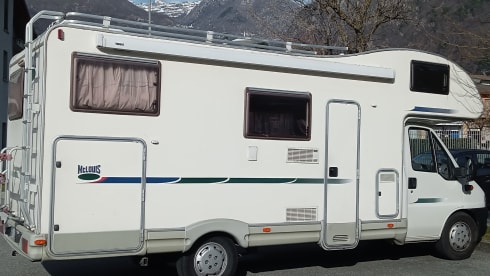 PERFETTO COMPAGNO DI VIAGGIO