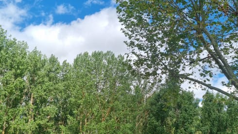 Gwen SteVANi β 2 Berth 2014 VW Crafter