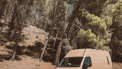 Your home on wheels!