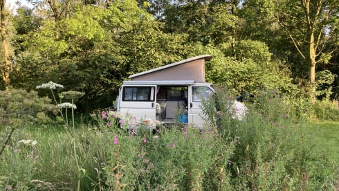 Fred – 4p Westfalia campervan from 1991