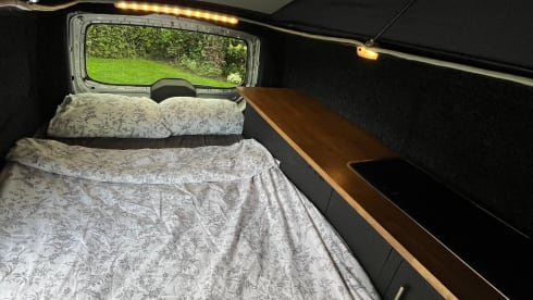2-person Mercedes-Benz bus from 2014