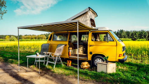 Simba – the yellow retro Volkswagen van with lifting roof