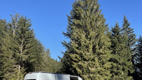 Chula The Van